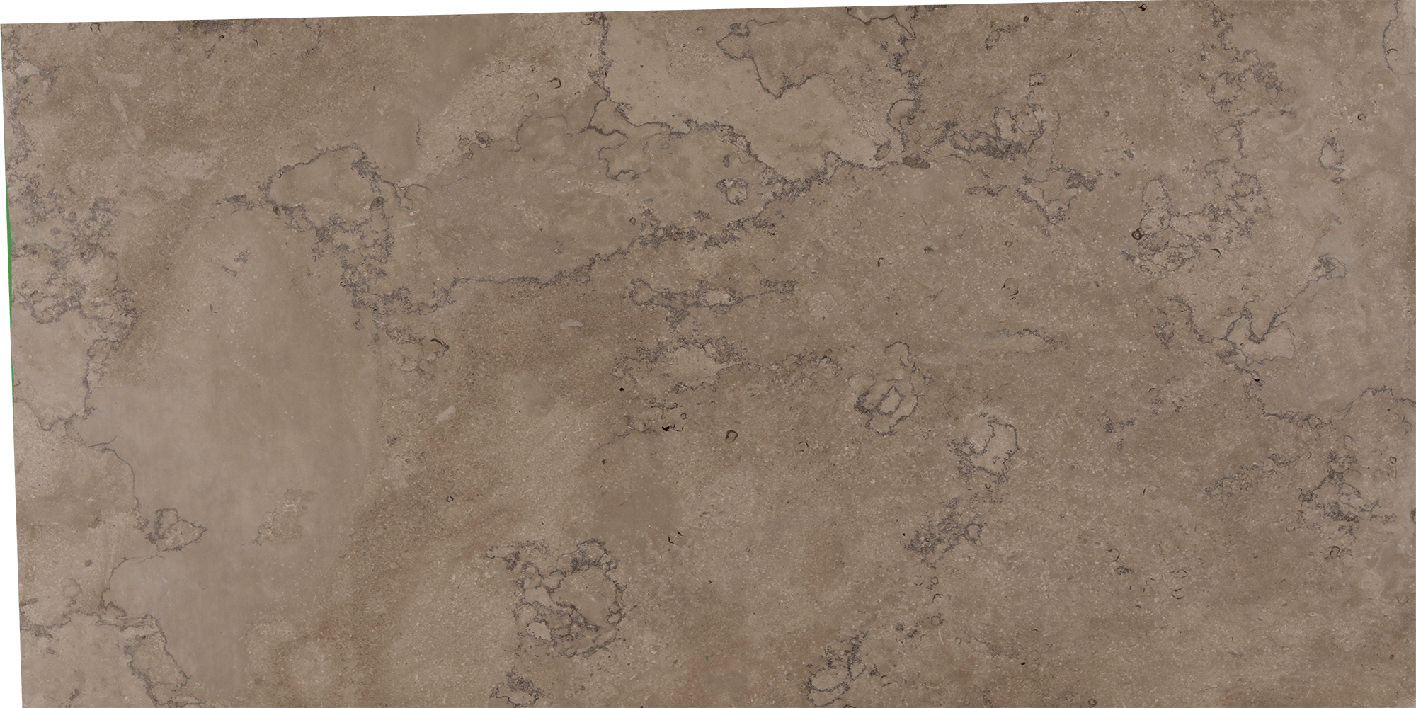Phenix Fleuri marble slab